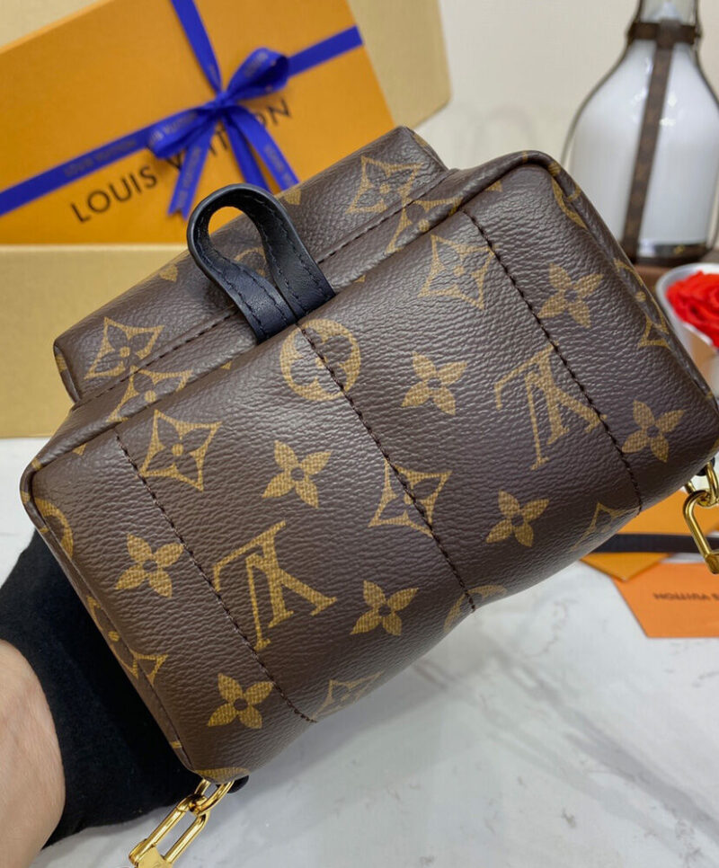 Louis Vuitton Palm Springs Mini M44873 Brown
